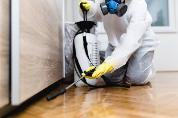 Best Residential Pest Control  in London, CA