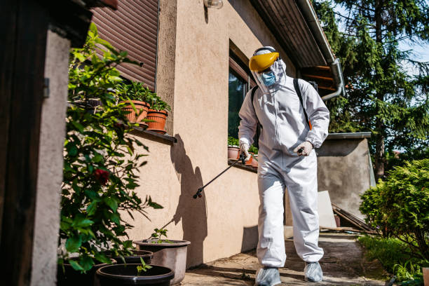 Best Mosquito Control Services  in London, CA