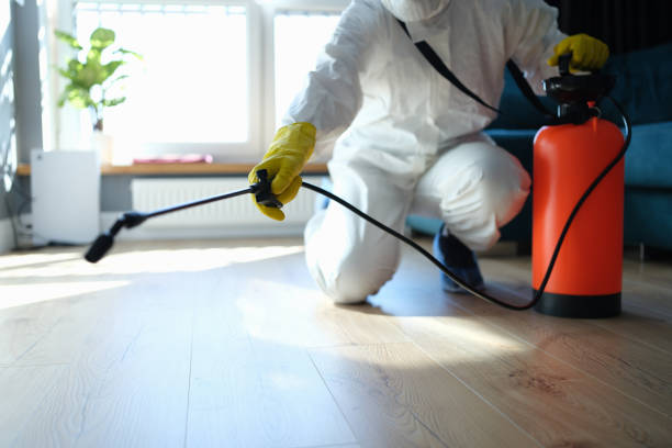 Reliable London, CA Pest Control Solutions