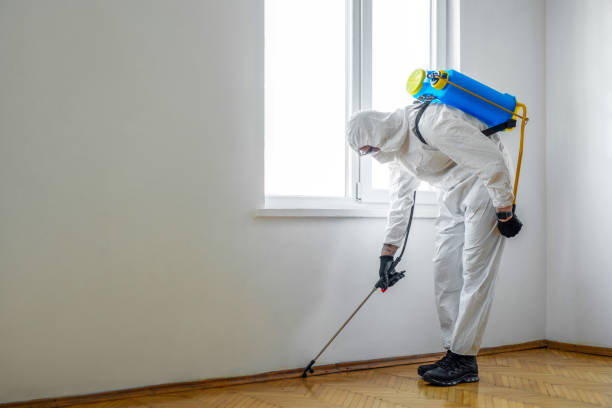 Best Cockroach Control Services  in London, CA