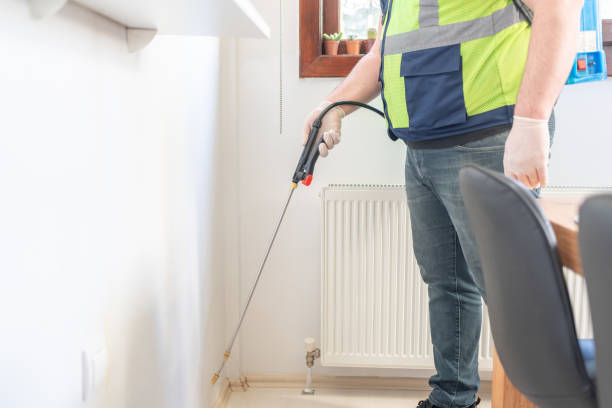 Best Best Pest Control Companies  in London, CA