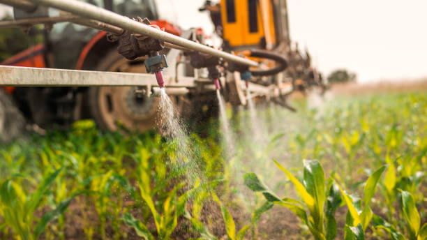 Best Commercial Pest Control Services  in London, CA